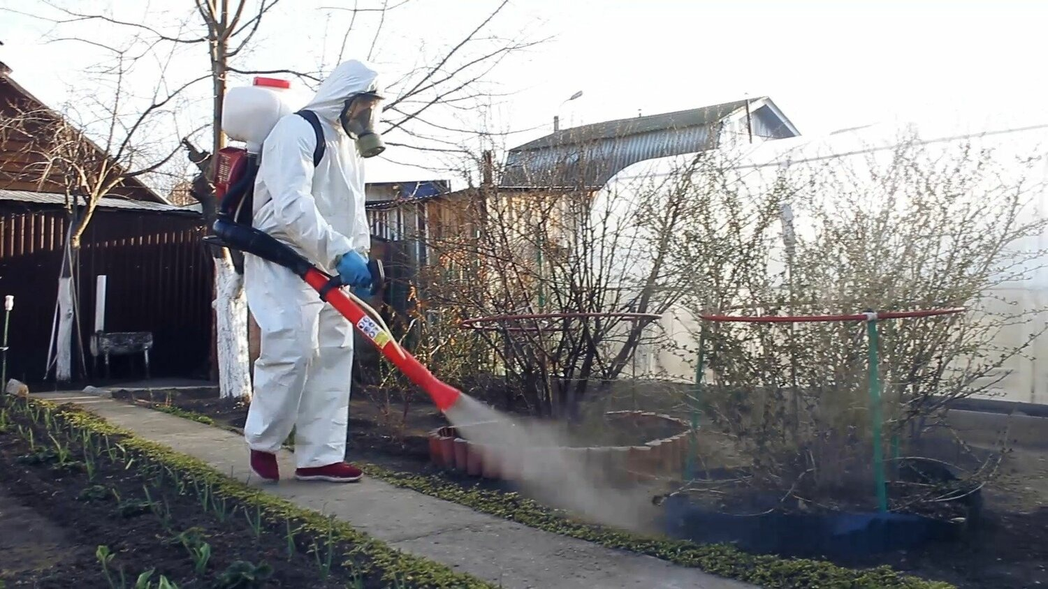 ФОТО Уничтожение муравьёв в Чернореченском