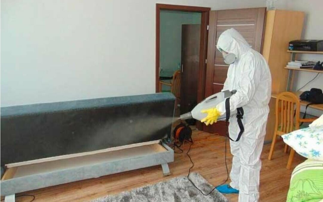 ФОТО Уничтожение блох в Чернореченском