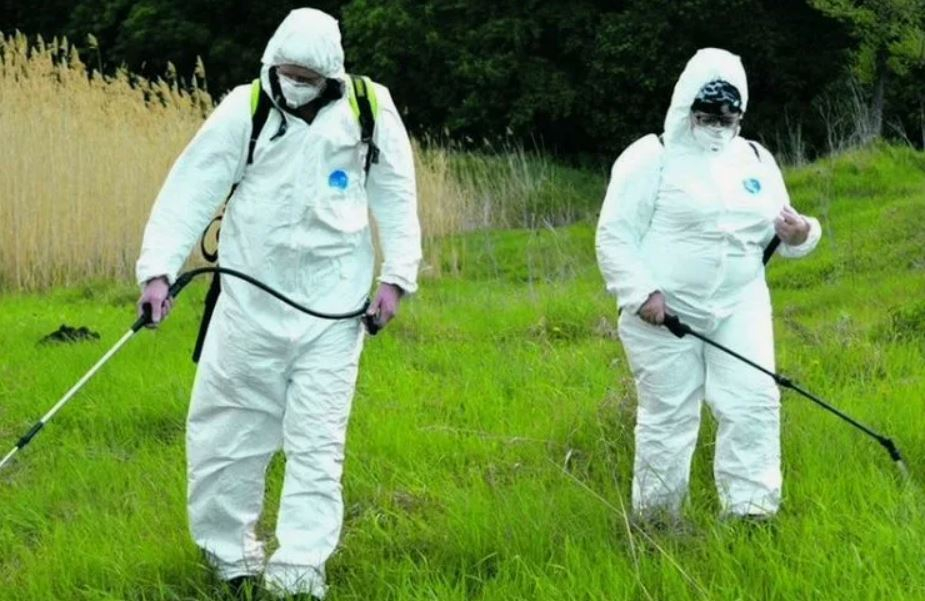 ФОТО Обработка от клещей в Чернореченском