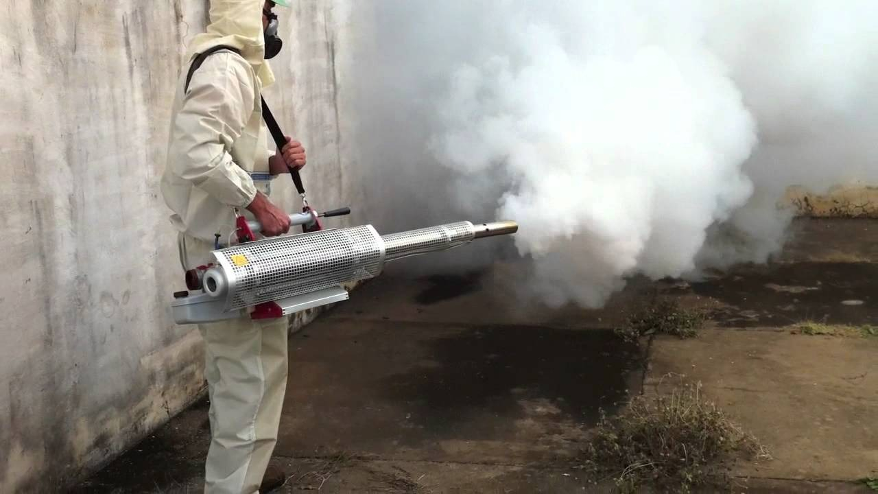 ФОТО Уничтожение мух в Чернореченском