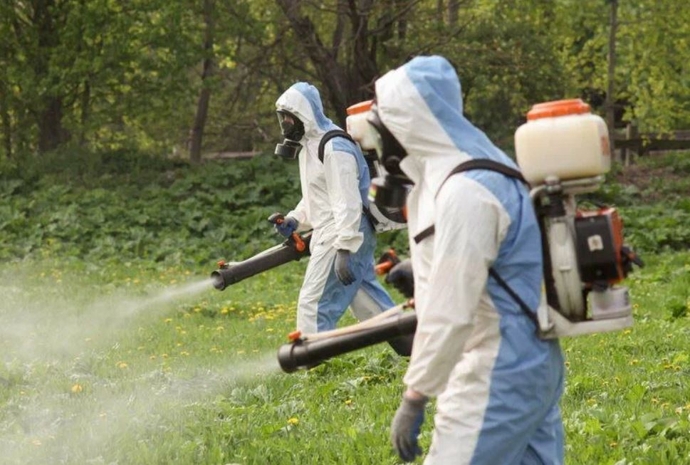 ФОТО Что такое дезинсекция в Чернореченском? | подробно