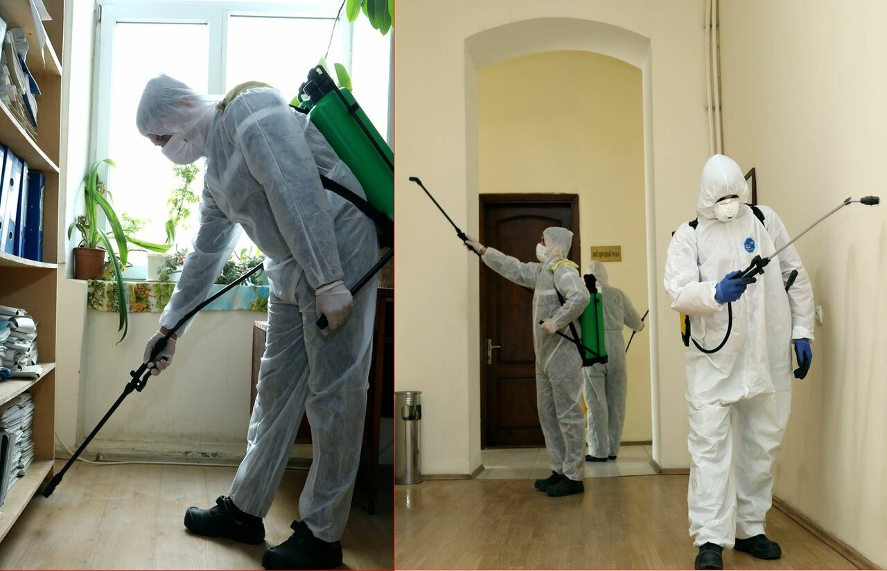 ФОТО Требуется ли лицензия для дезинсекции и дезинфекции в Чернореченском? | подробно