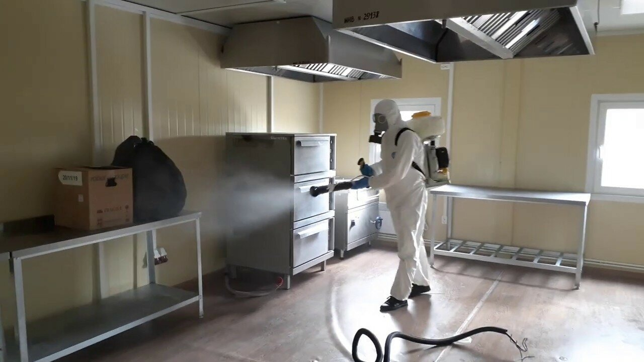 ФОТО Можно ли провести дезинсекцию самостоятельно и какие существуют риски в Чернореченском? | подробно