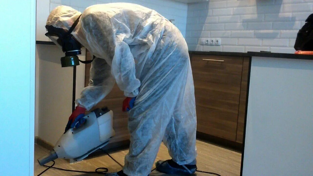 ФОТО Как подготовить домашних животных к обработке от насекомых в Чернореченском? | подробно