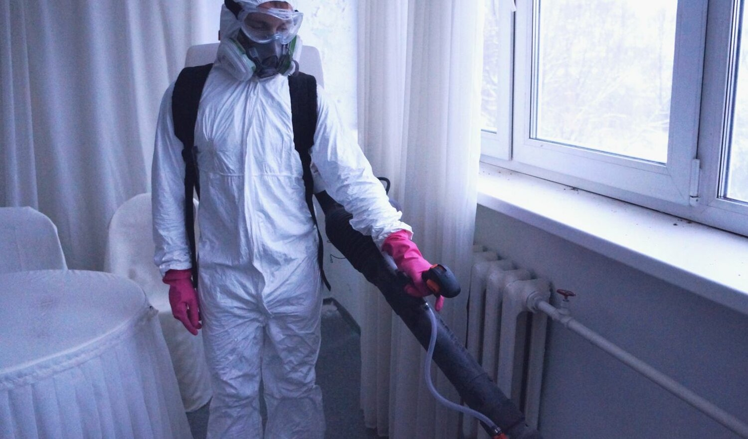 ФОТО Нужно ли выносить растения при дезинсекции в Чернореченском? | подробно