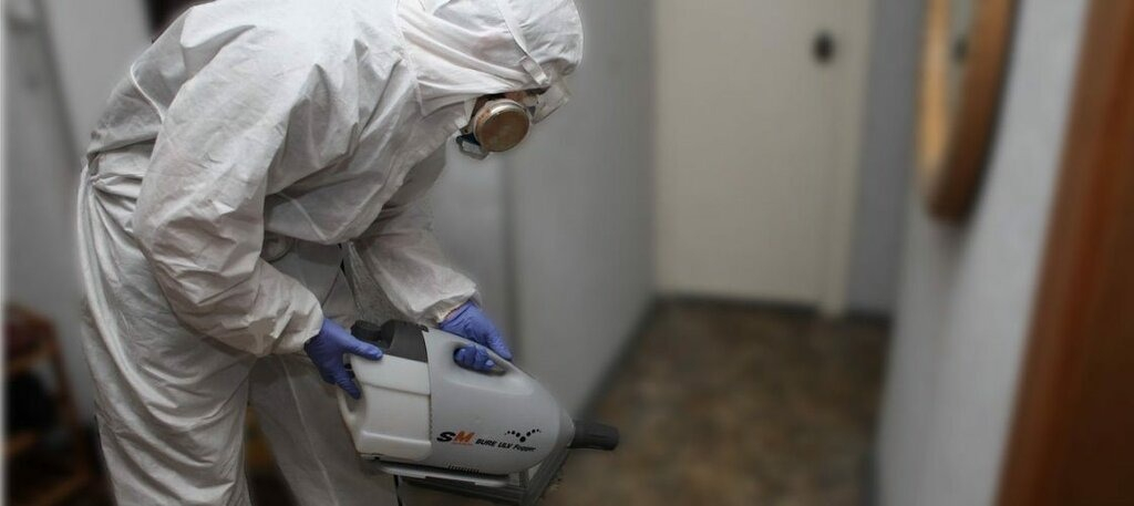 ФОТО Остаются ли следы после обработки квартиры от насекомых в Чернореченском? | подробно