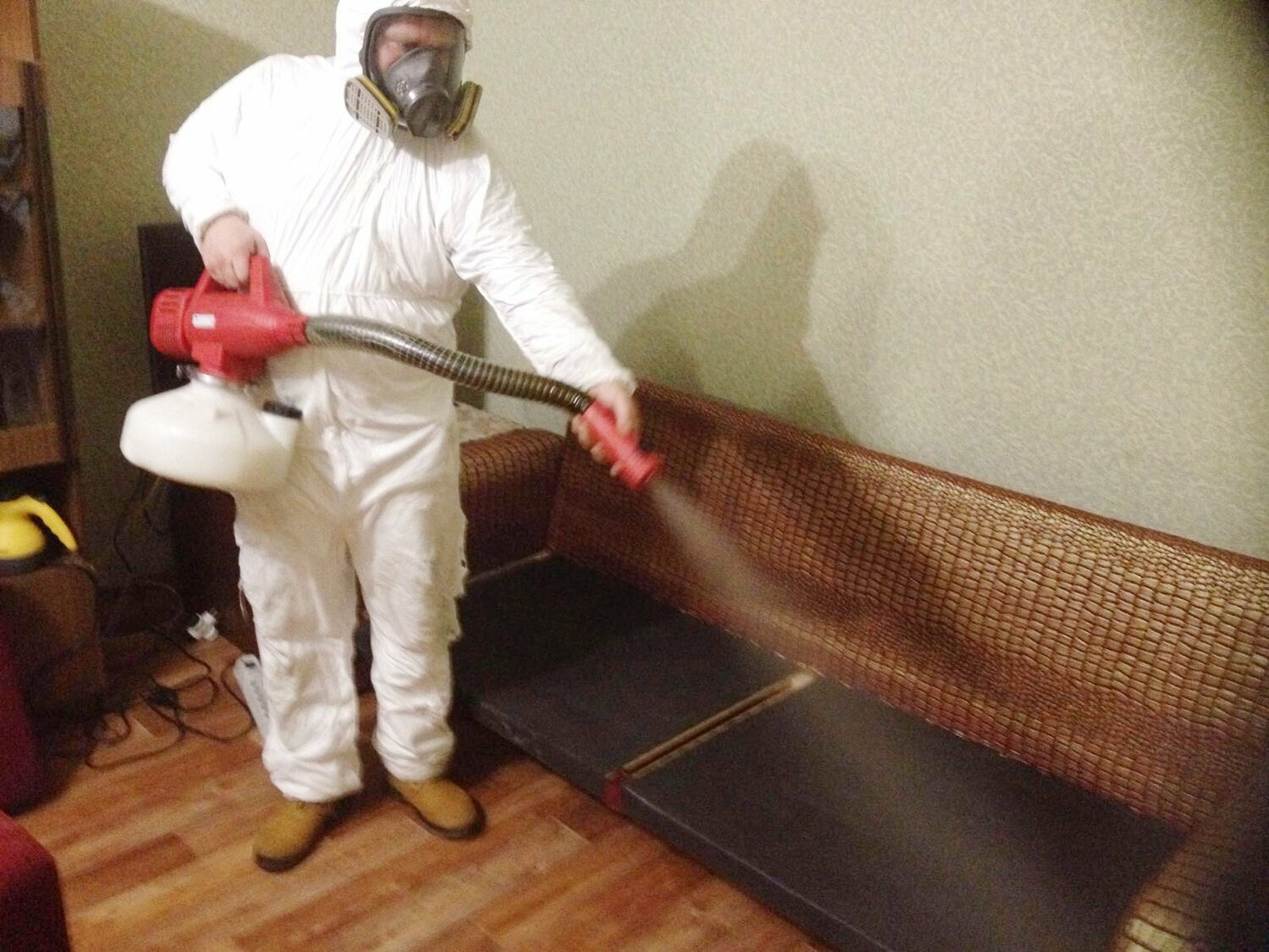 ФОТО Когда можно вернуться в помещение после дезинсекции в Чернореченском? | подробно