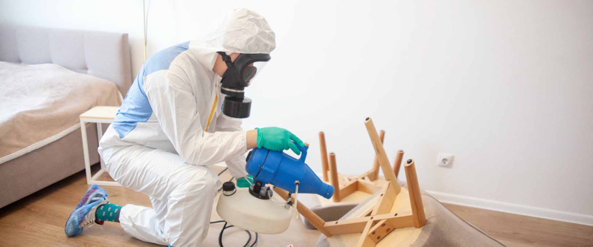 фото: Уничтожение постельных клопов с 1-го раза с гарантией за 30-60 мин. в Чернореченском без предоплаты