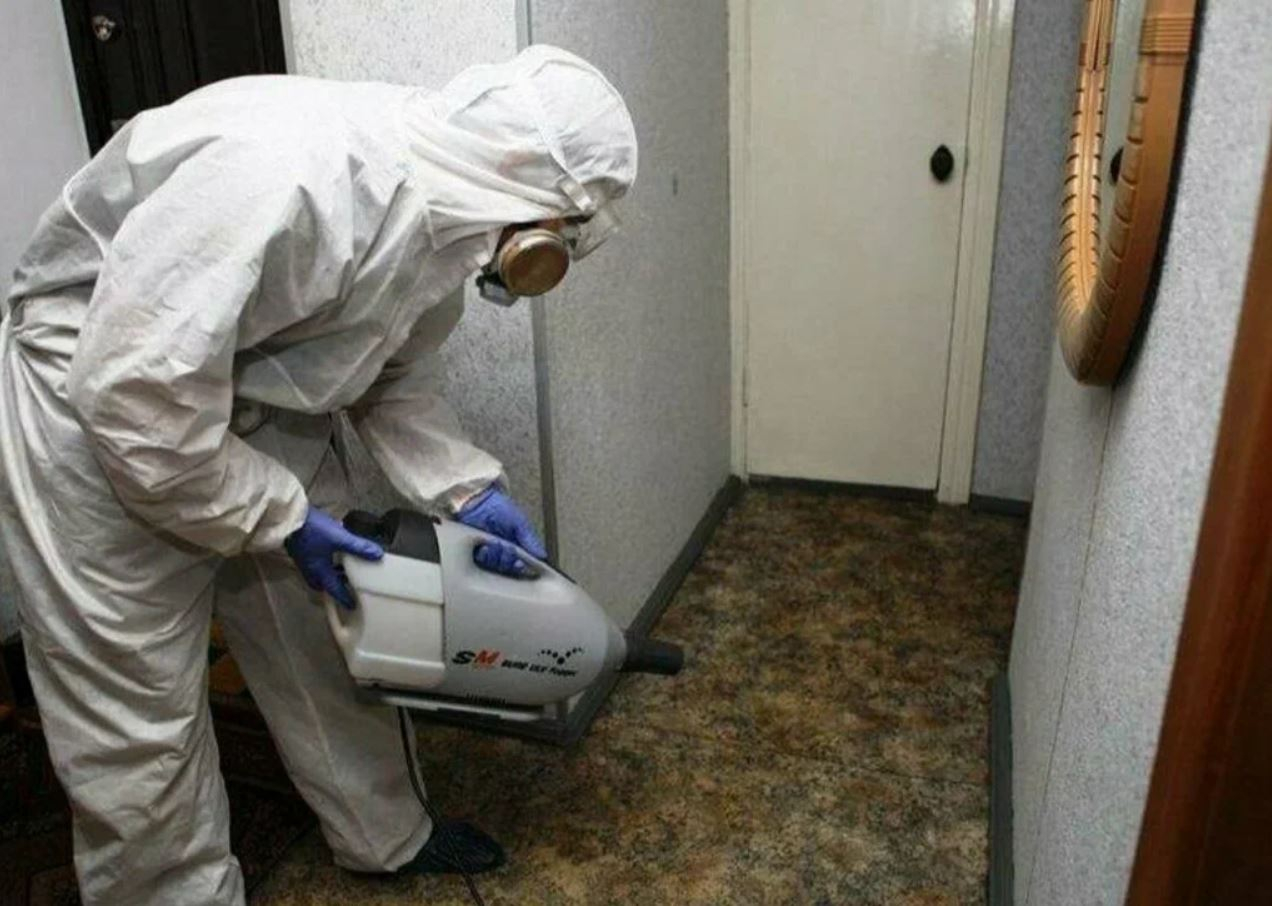 фото: Профессиональная дезинсекция в Чернореченском: <br/>+7-909-173-42-96